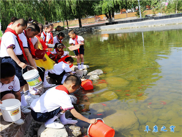 环保课堂进公园 阜康师生共上放鱼课